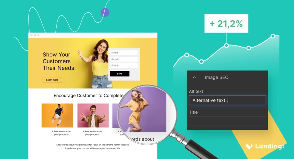 landing page schema